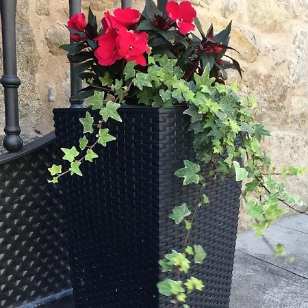 艾斯莫加马尔旅馆 宾馆