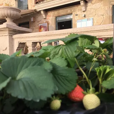 艾斯莫加马尔旅馆 宾馆