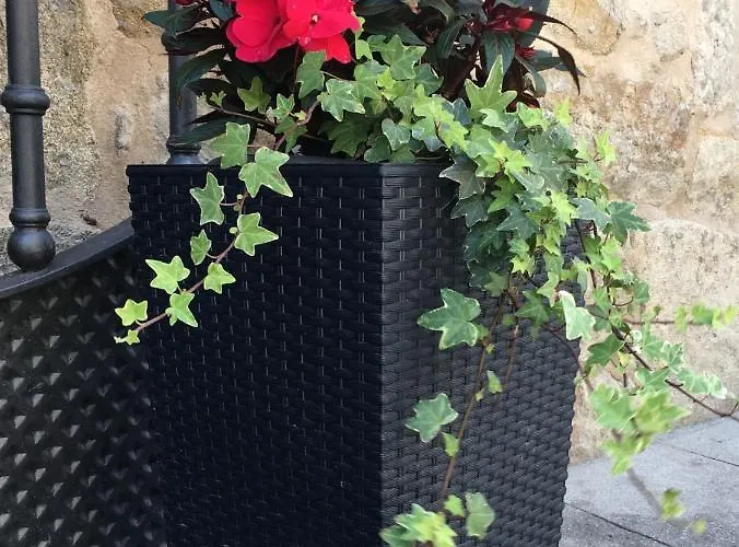 A Esmorga-posada Del Mar Herberg