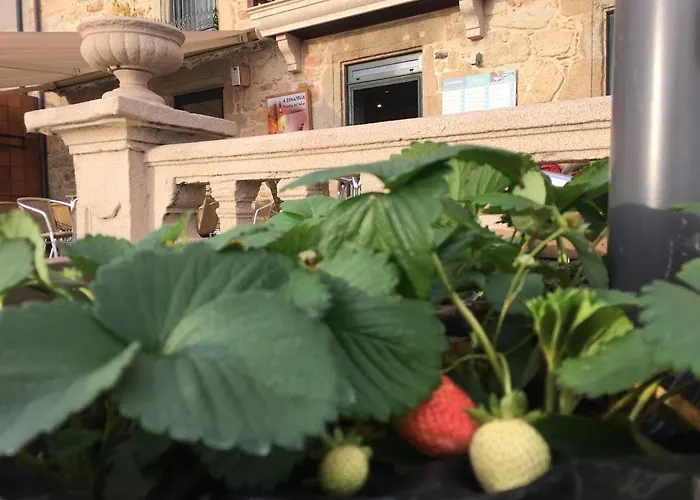 艾斯莫加马尔旅馆 宾馆